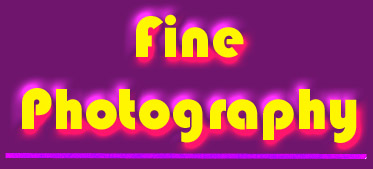 FineFoto.jpg (26108 bytes)