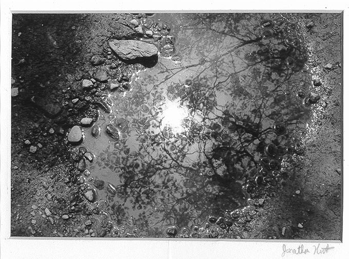 Photo3.jpg (263899 bytes)