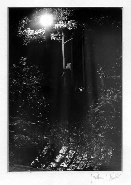 photo4.jpg (236744 bytes)